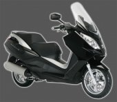 2009 Peugeot Satelis 125 Excecutive photo
